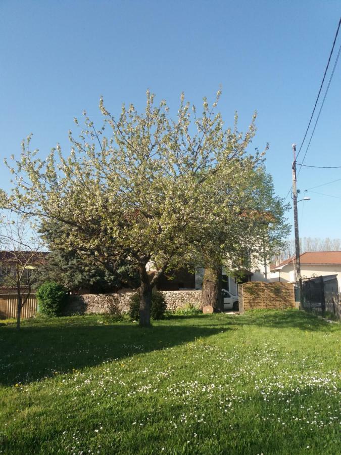 Vila Les Copains D'Abord Beaucroissant Exteriér fotografie
